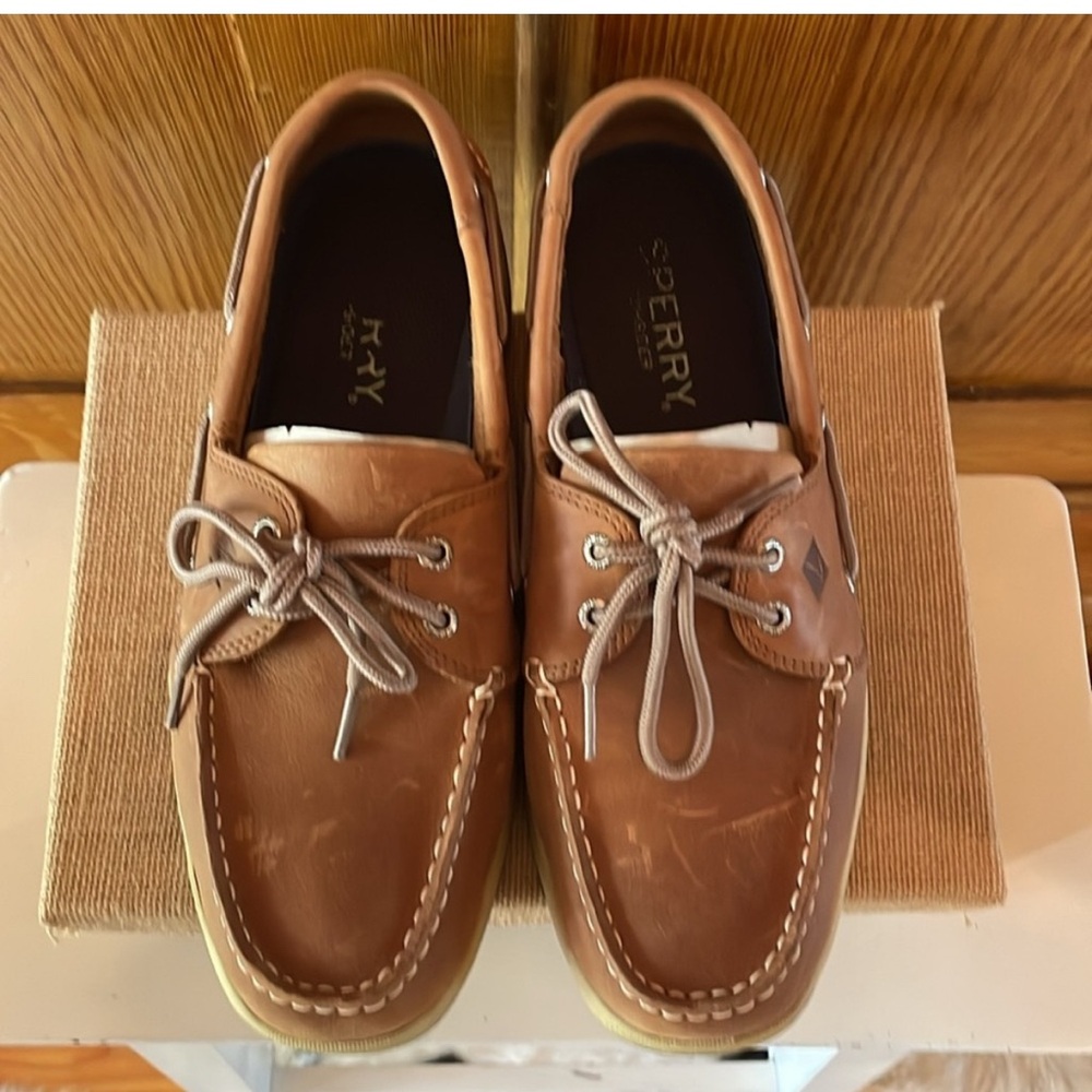 Sperry Men's Brown Boat Shoes